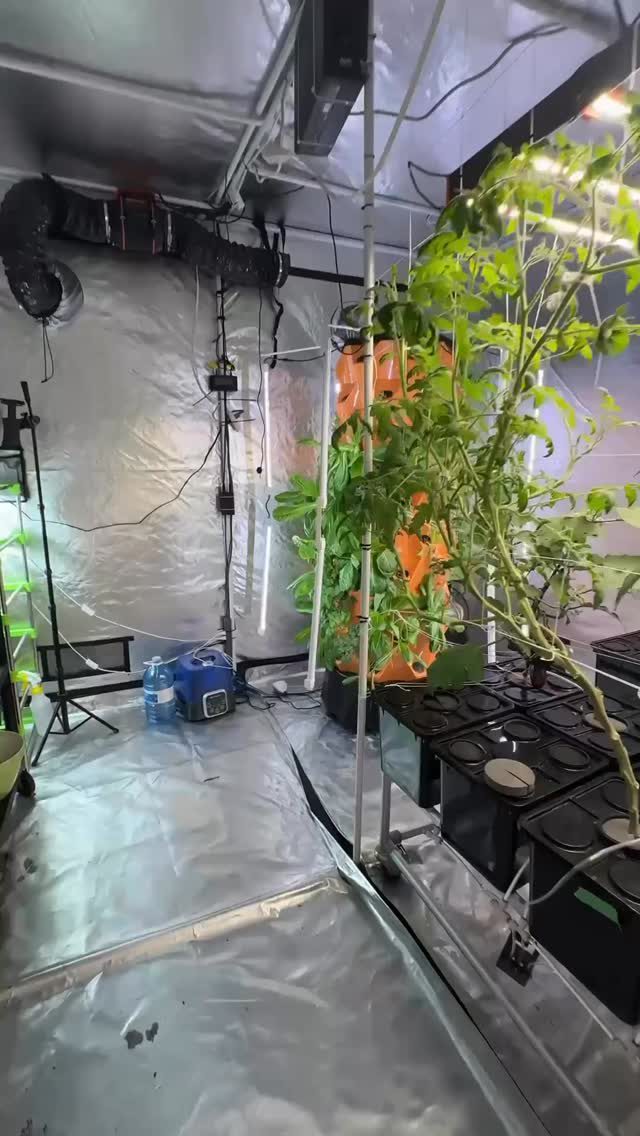 Instagram post from thefreshprincess__. This post is in position 1.