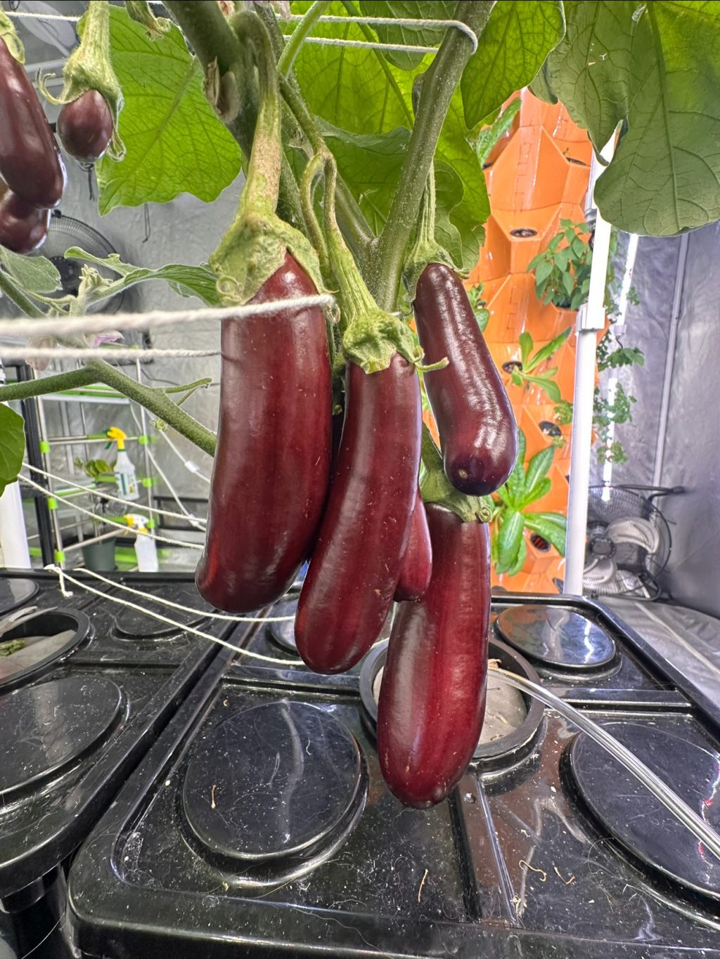 Instagram post from thefreshprincess__. This post is in position 2.