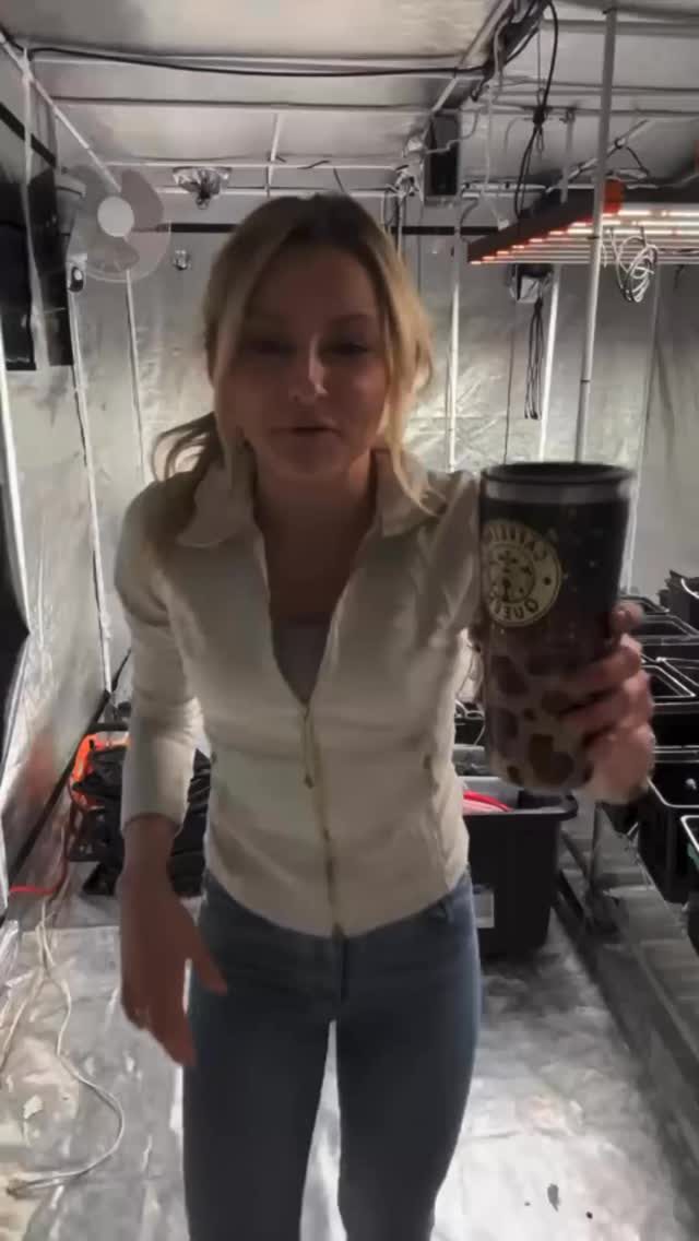 Instagram post from thefreshprincess__. This post is in position 0.