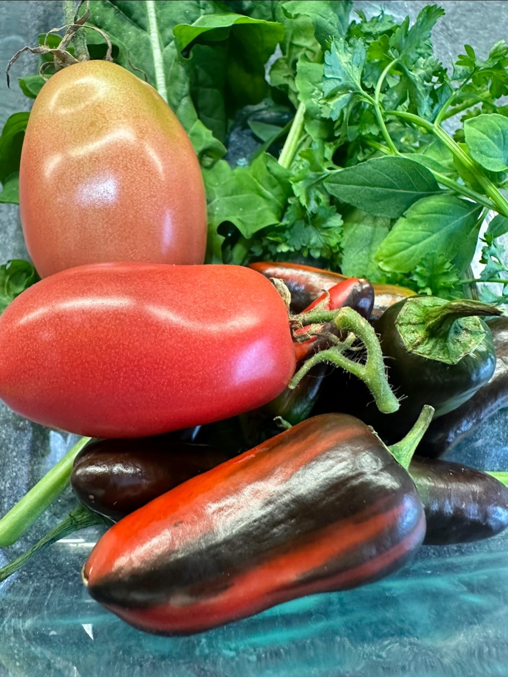 Instagram post from thefreshprincess__. This post is in position 9.