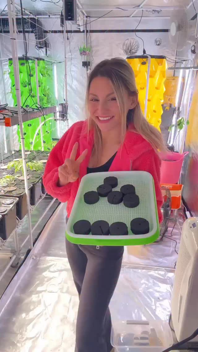 Instagram post from thefreshprincess__. This post is in position 4.