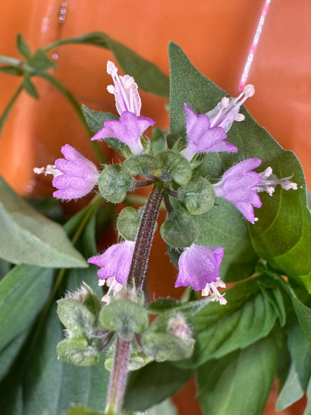 Instagram post from thefreshprincess__. This post is in position 4.