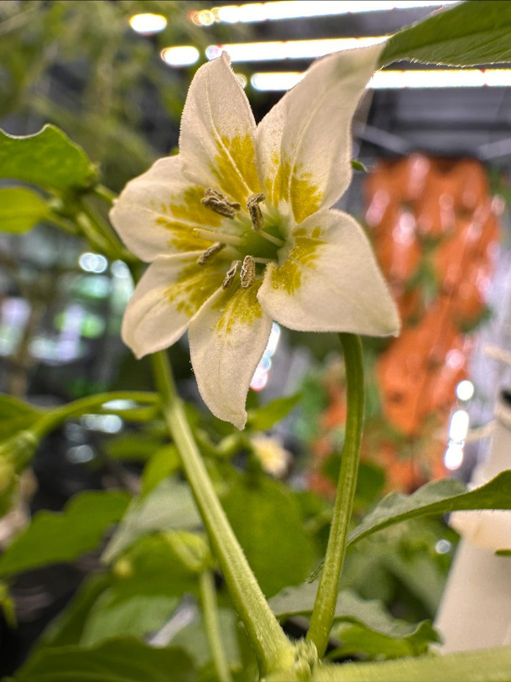 Instagram post from thefreshprincess__. This post is in position 1.