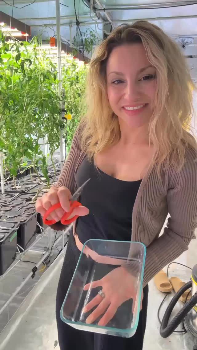 Instagram post from thefreshprincess__. This post is in position 0.