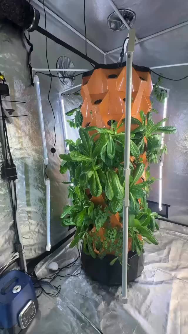 Instagram post from thefreshprincess__. This post is in position 2.