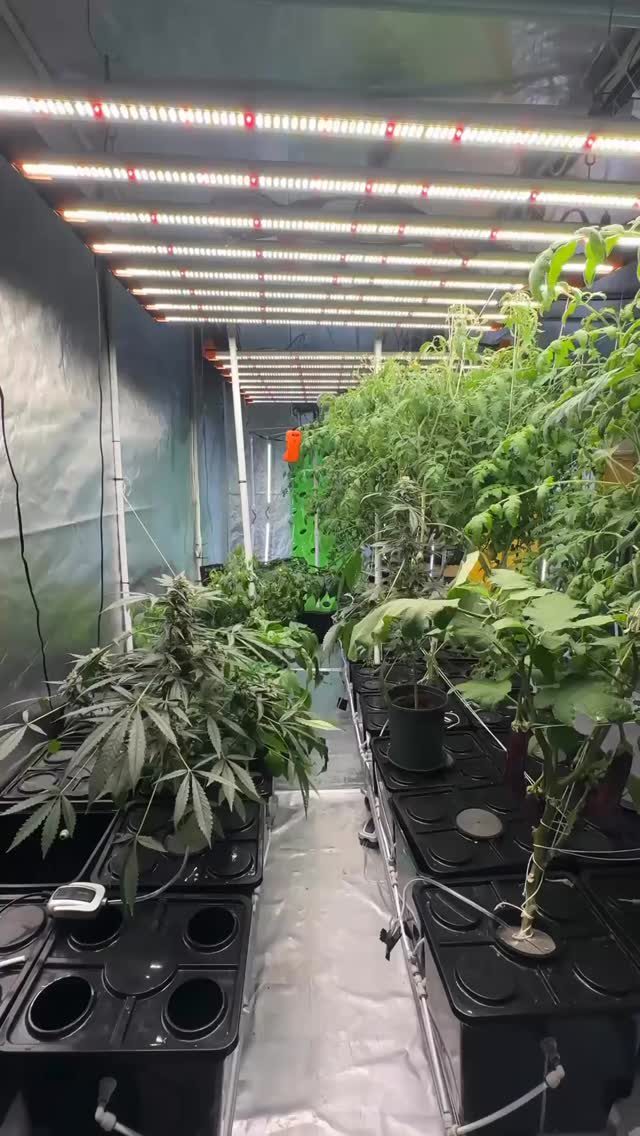 Instagram post from thefreshprincess__. This post is in position 1.